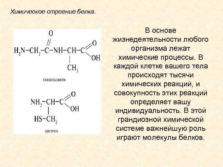 Химический состав белка. Химическое строение белка. Химическая структура белков. Белки химия строение. Строение белков кратко химия.