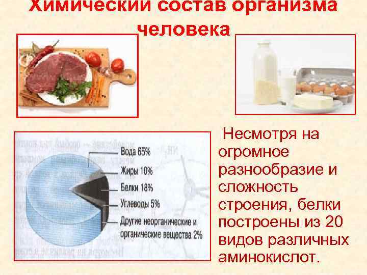 Химический состав организма человека Несмотря на огромное разнообразие и сложность строения, белки построены из