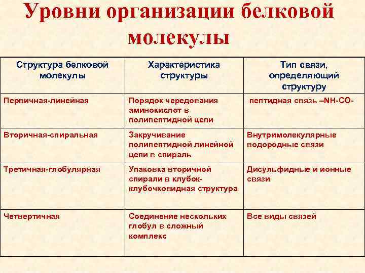 Уровни организации белковой молекулы Структура белковой молекулы Характеристика структуры Тип связи, определяющий структуру Первичная-линейная
