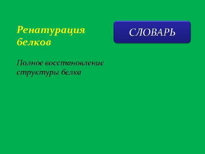 Ренатурация белков Полное восстановление структуры белка СЛОВАРЬ 