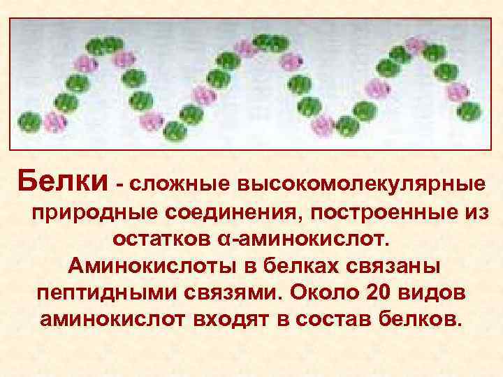 Белки - сложные высокомолекулярные природные соединения, построенные из остатков α-аминокислот. Аминокислоты в белках связаны