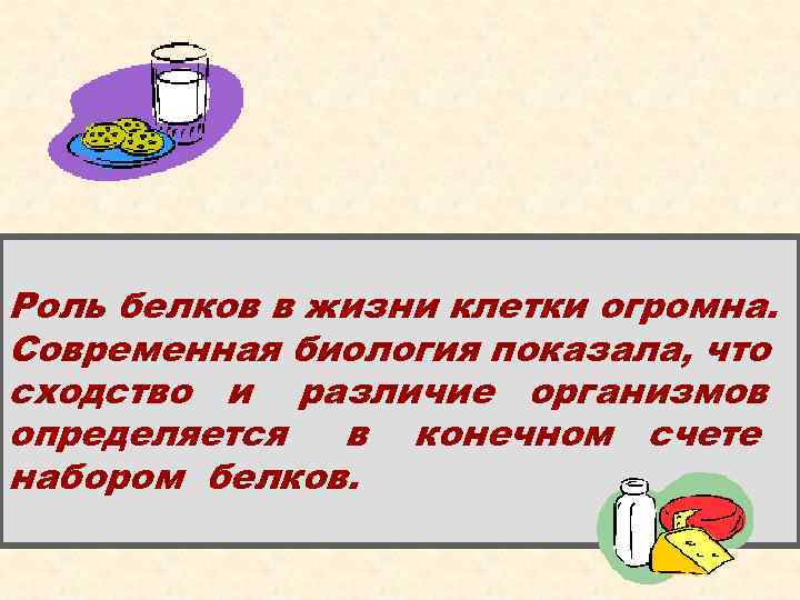 Роль белков в жизни клетки огромна. Современная биология показала, что сходство и различие организмов
