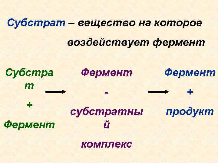 Субстрат – вещество на которое воздействует фермент Субстра т + Фермент - + субстратны