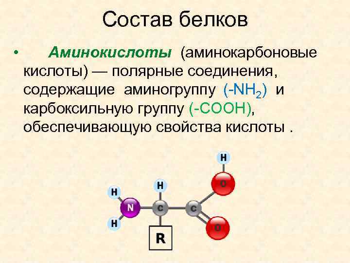 Аминокислоты аминогруппа карбоксильная группа. Белок аминокислоты аминогруппа карбоксильная группа схема. Белки аминокислоты. Аминокислоты это Полярные соединения. Белок аминокислоты аминогруппа карбоксильная группа.