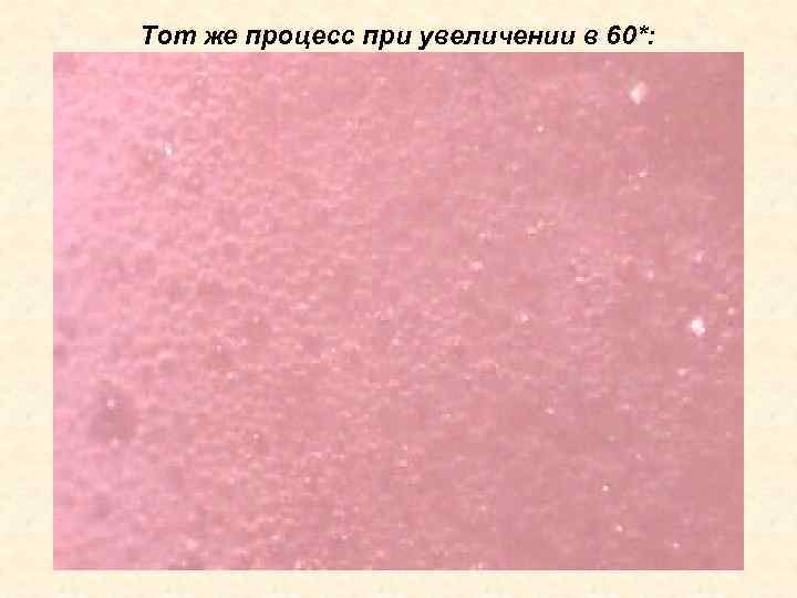 Тот же процесс при увеличении в 60*: 