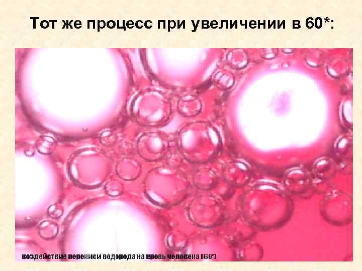 Тот же процесс при увеличении в 60*: 