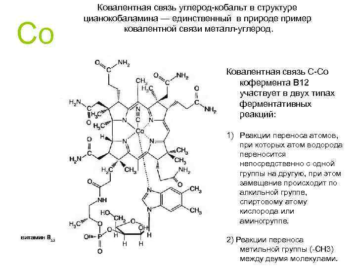 Co Ковалентная связь углерод-кобальт в структуре цианокобаламина — единственный в природе пример ковалентной связи