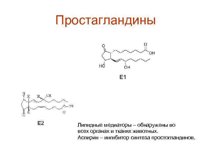 Простагландины Е 1 Е 2 Липидные медиаторы – обнаружены во всех органах и тканях