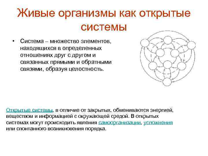 Живые организмы как открытые системы • Система – множество элементов, находящихся в определенных отношениях