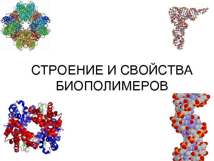 Биополимером является белок. Строение биополимеров. Строение биополимеров структура. Регулярные и нерегулярные биополимеры. Биополимеры картинки.