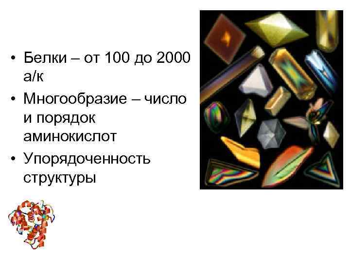  • Белки – от 100 до 2000 а/к • Многообразие – число и