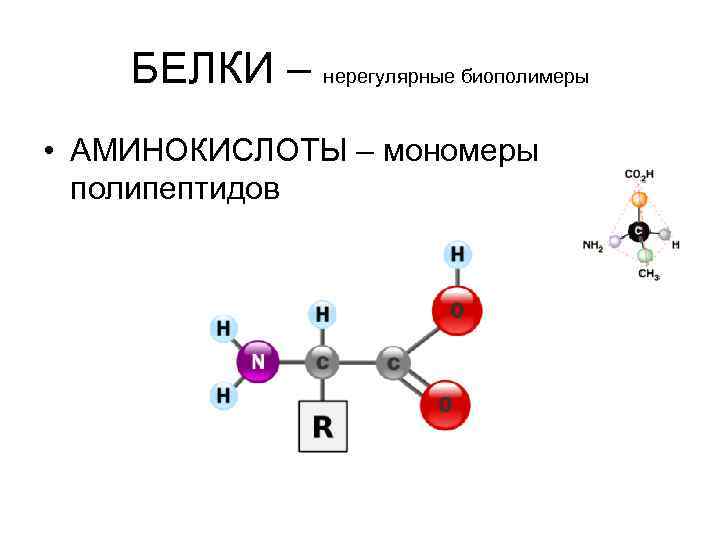 Назовите мономер изображенный на представленной схеме опишите функции биополимера в состав