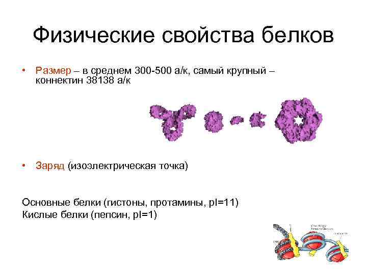 Белки свойства. Физические свойства белков. Свойства белков таблица. Белки физические свойства. Химические свойства белков таблица.