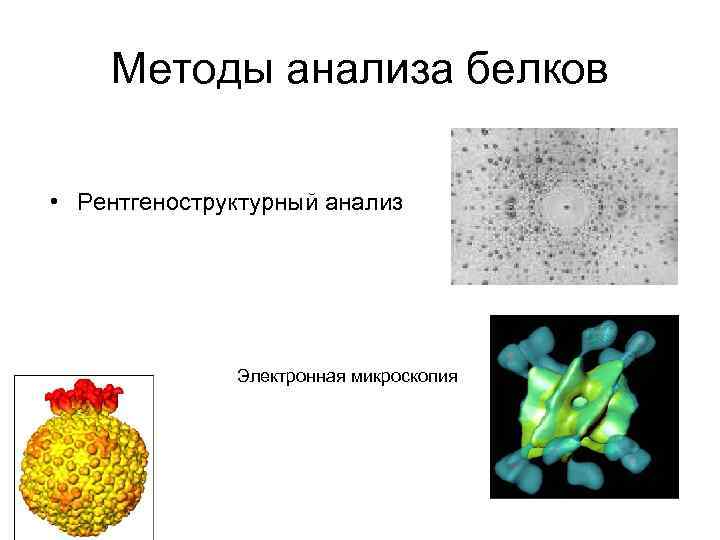 Методы анализа белков • Рентгеноструктурный анализ Электронная микроскопия 