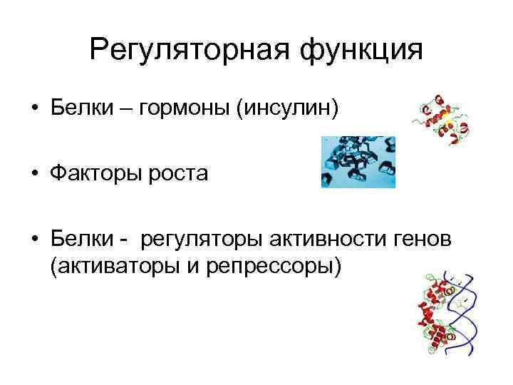 Рост белки