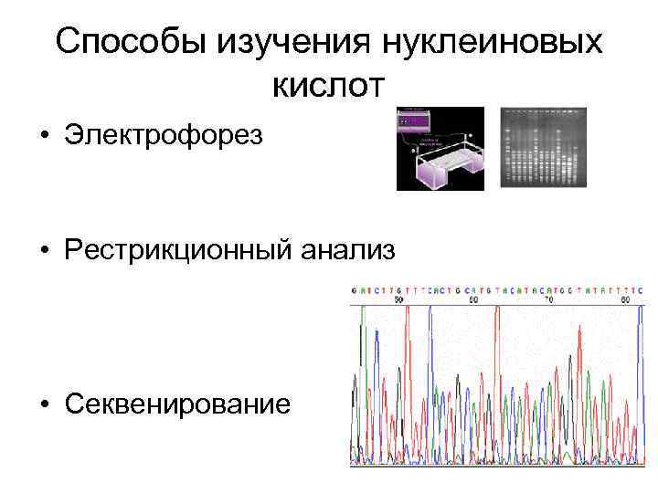 Секвенирование анализ. Секвенирование электрофорез. Секвенирование ДНК электрофорез. Рестрикционный анализ микробиология.