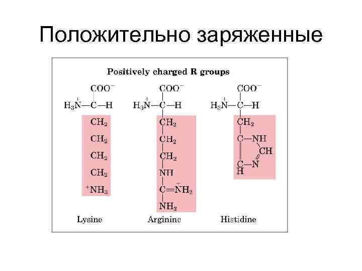 Положительно заряженные 