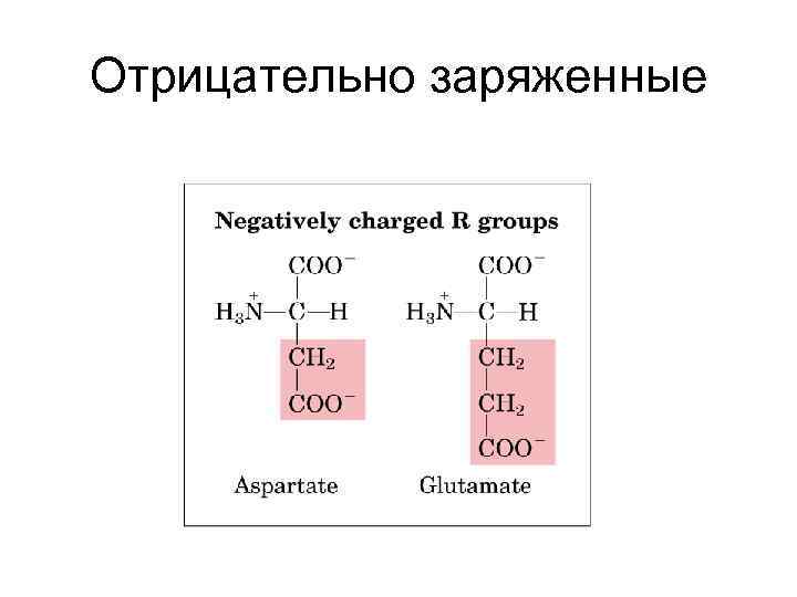 Отрицательно заряженные 