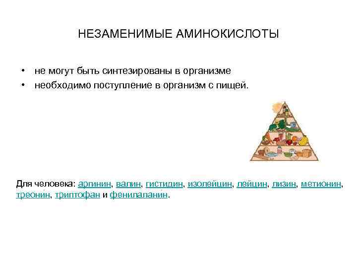 НЕЗАМЕНИМЫЕ АМИНОКИСЛОТЫ • не могут быть синтезированы в организме • необходимо поступление в организм