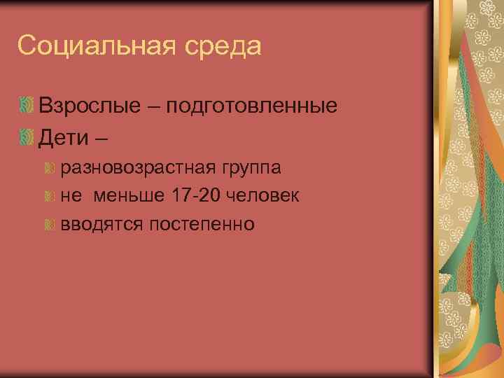 Социальная среда Взрослые – подготовленные Дети – разновозрастная группа не меньше 17 -20 человек