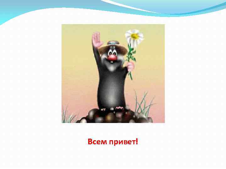 Всем привет! 