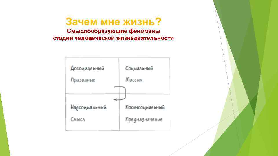 Зачем мне жизнь? Смыслообразующие феномены стадий человеческой жизнедеятельности 