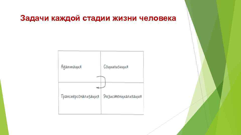 Задачи каждой стадии жизни человека 