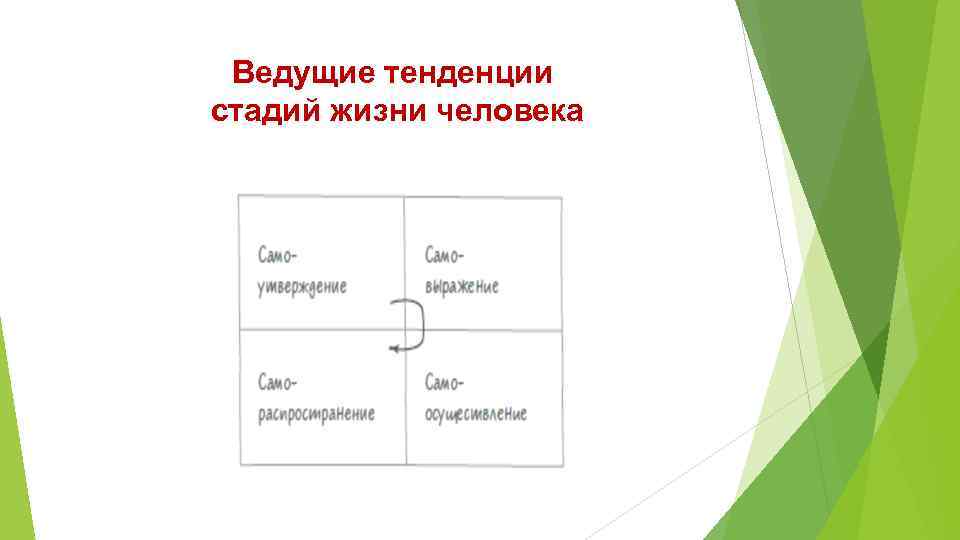 Ведущие тенденции стадий жизни человека 