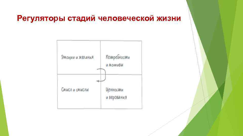 Регуляторы стадий человеческой жизни 