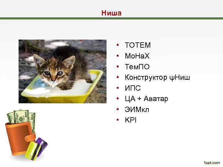 Ниша • • ТОТЕМ Мо. На. Х Тем. ПО Конструктор ψНиш ИПС ЦА +