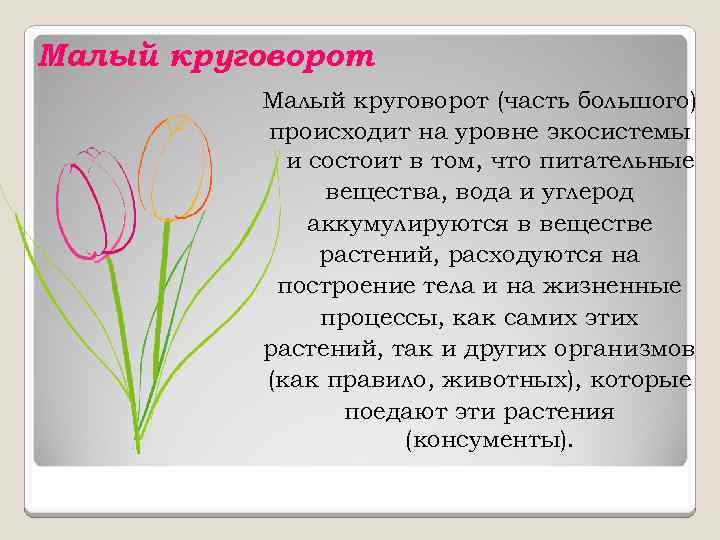Малый круговорот (часть большого) происходит на уровне экосистемы и состоит в том, что питательные