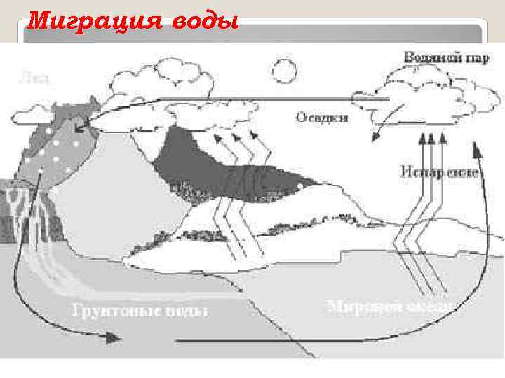 Миграция воды 