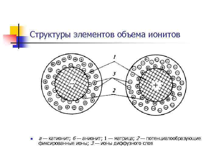 Структуры элементов объема ионитов n а — катионит; б — анионит; 1 — матрица;