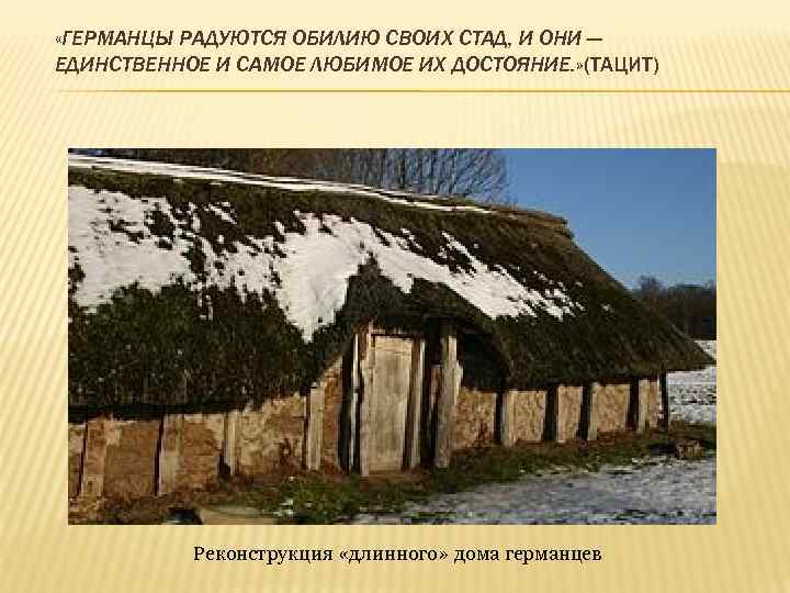  «ГЕРМАНЦЫ РАДУЮТСЯ ОБИЛИЮ СВОИХ СТАД, И ОНИ — ЕДИНСТВЕННОЕ И САМОЕ ЛЮБИМОЕ ИХ