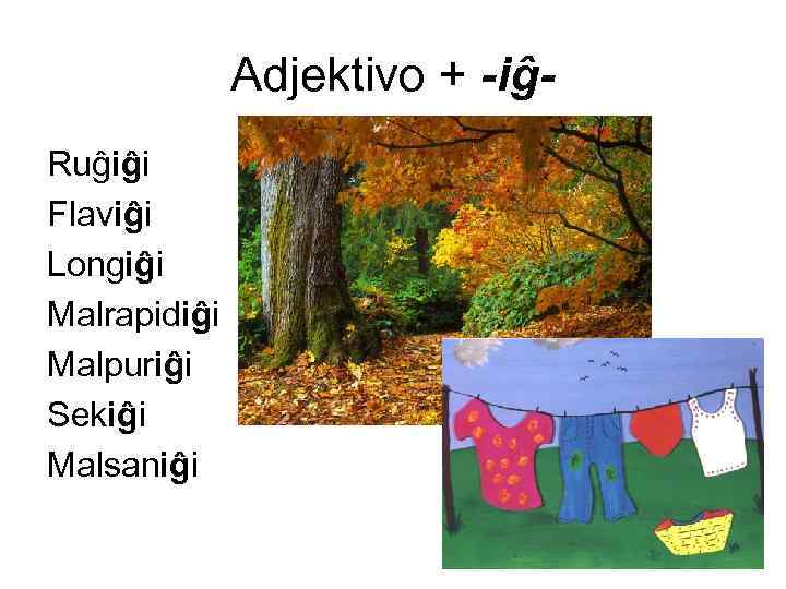 Adjektivo + -iĝRuĝiĝi Flaviĝi Longiĝi Malrapidiĝi Malpuriĝi Sekiĝi Malsaniĝi 