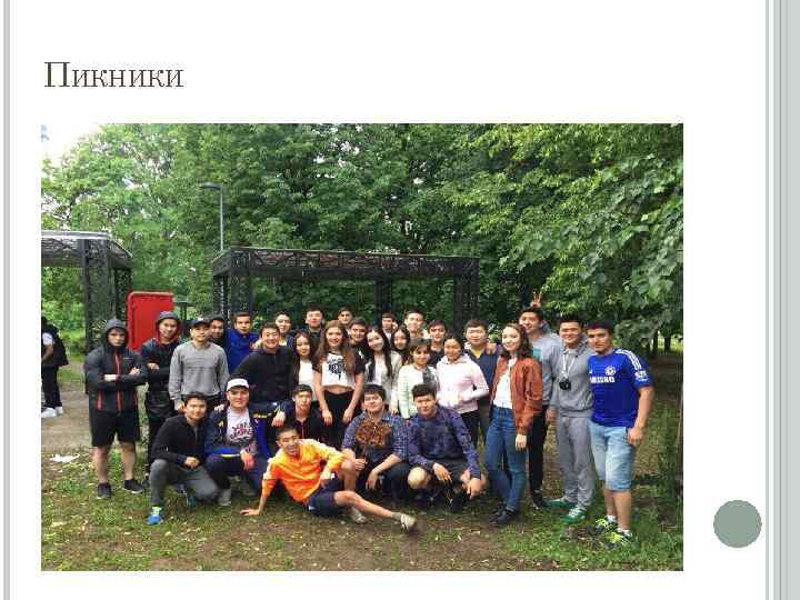 ПИКНИКИ 