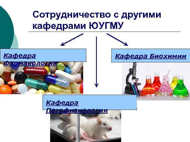 Сотрудничество с другими кафедрами ЮУГМУ Кафедра Фармакологии Кафедра Патофизиологии Кафедра Биохимии 