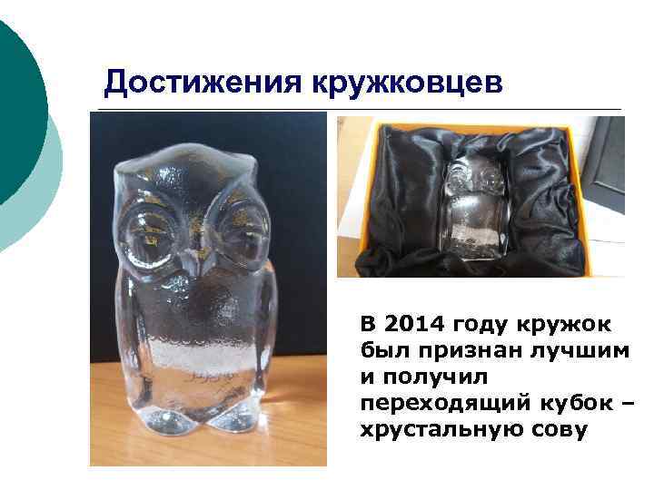 Достижения кружковцев В 2014 году кружок был признан лучшим и получил переходящий кубок –