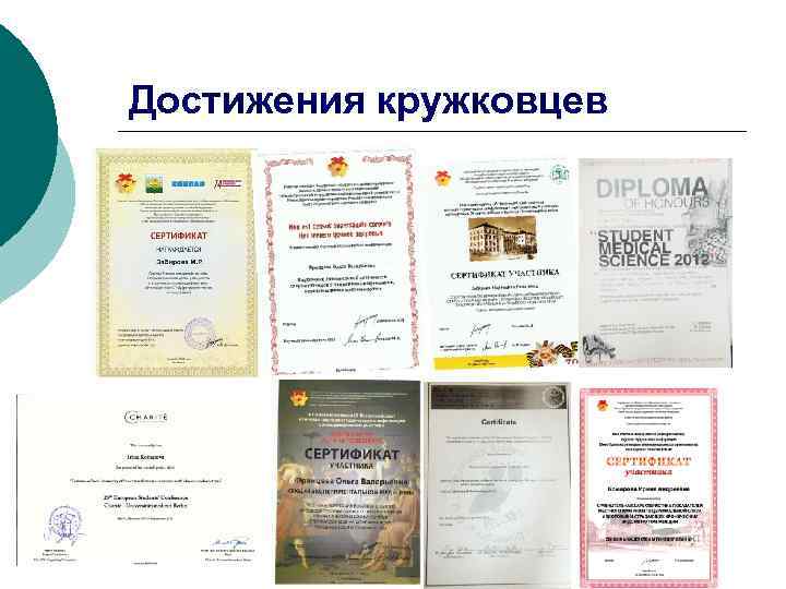 Достижения кружковцев 