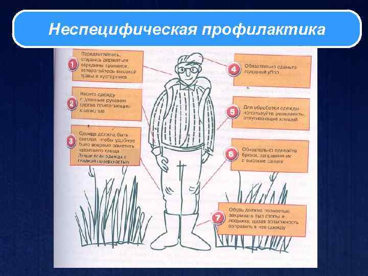 Неспецифическая профилактика 