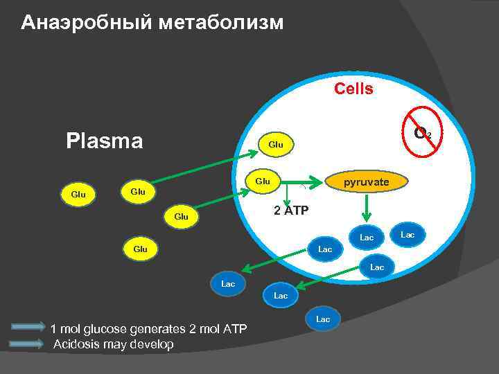 Типы обмена веществ анаэробный. Анаэробный метаболизм. Анаэробные метаболиты.