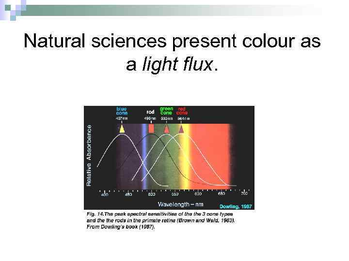 Natural sciences present colour as a light flux. 