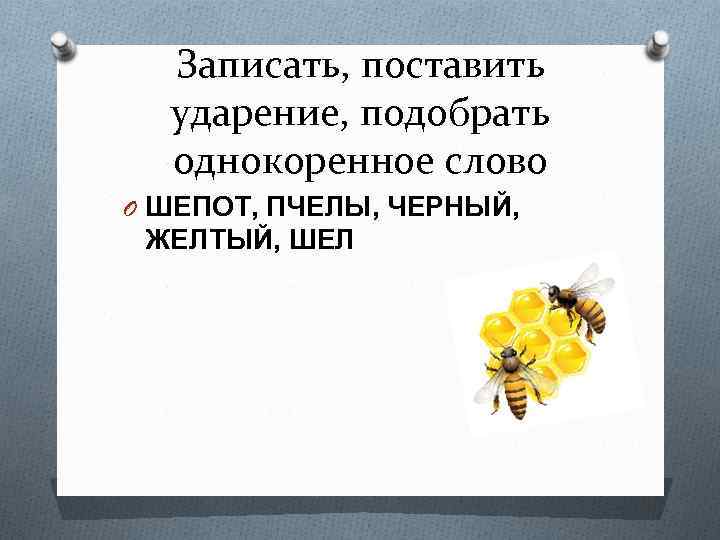 Корень слова желтый. Однокоренные слова к слову пчела. Пчела однокоренные слова. Шепот однокоренные слова. Ударение в однокоренных словах.