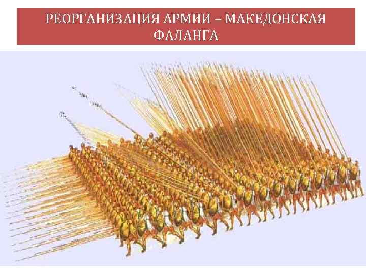 РЕОРГАНИЗАЦИЯ АРМИИ – МАКЕДОНСКАЯ ФАЛАНГА 