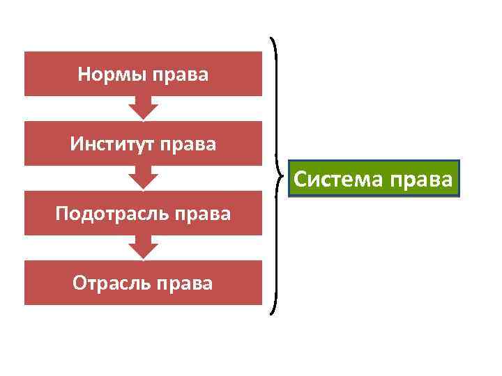 Нормы права Институт права Система права Подотрасль права Отрасль права 