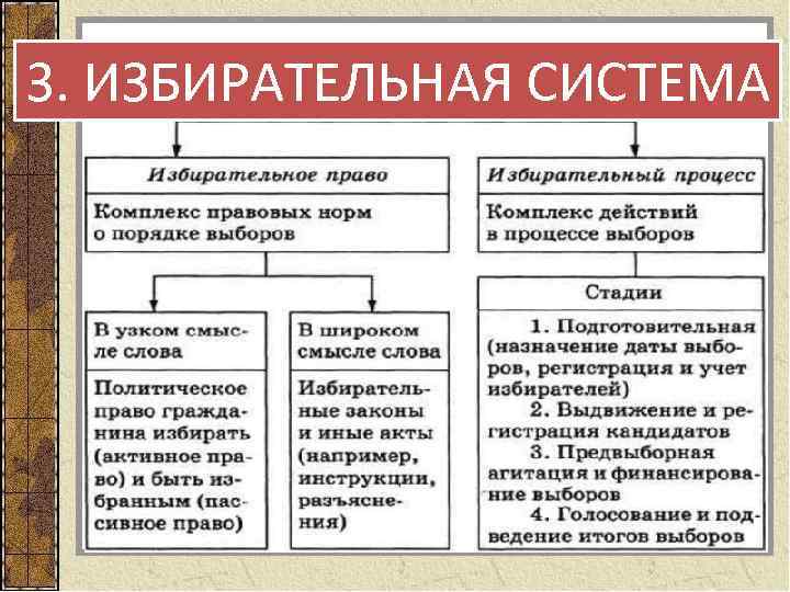 3. ИЗБИРАТЕЛЬНАЯ СИСТЕМА 