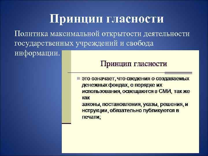 Понятие гласность приведите примеры. Принцип гласности. Принцип гласности и открытости. Принцип гласности деятельности. Принцип гласности государственного аппарата.