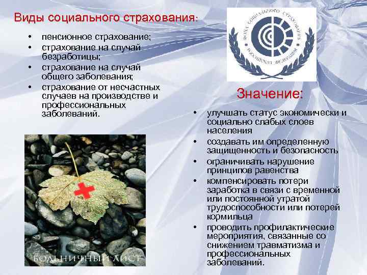 Виды социального страхования: • • пенсионное страхование; страхование на случай безработицы; страхование на случай