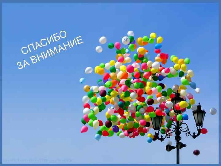 БО Е СИ НИ ПА МА С НИ АВ З 