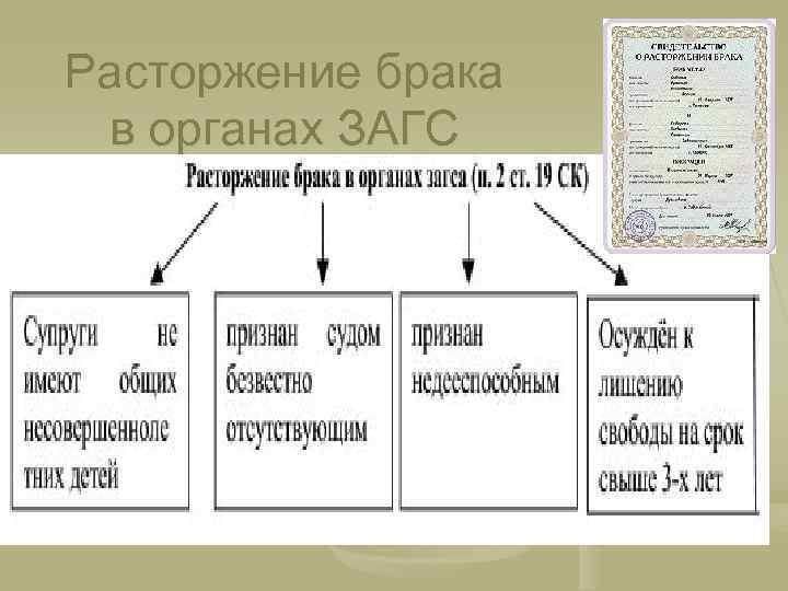 Расторжение брака в органах ЗАГС 